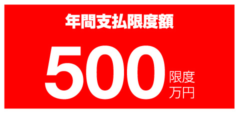 年間支払限度額500万円